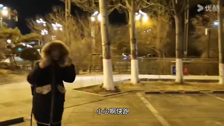 冬季城市里的乌鸦群